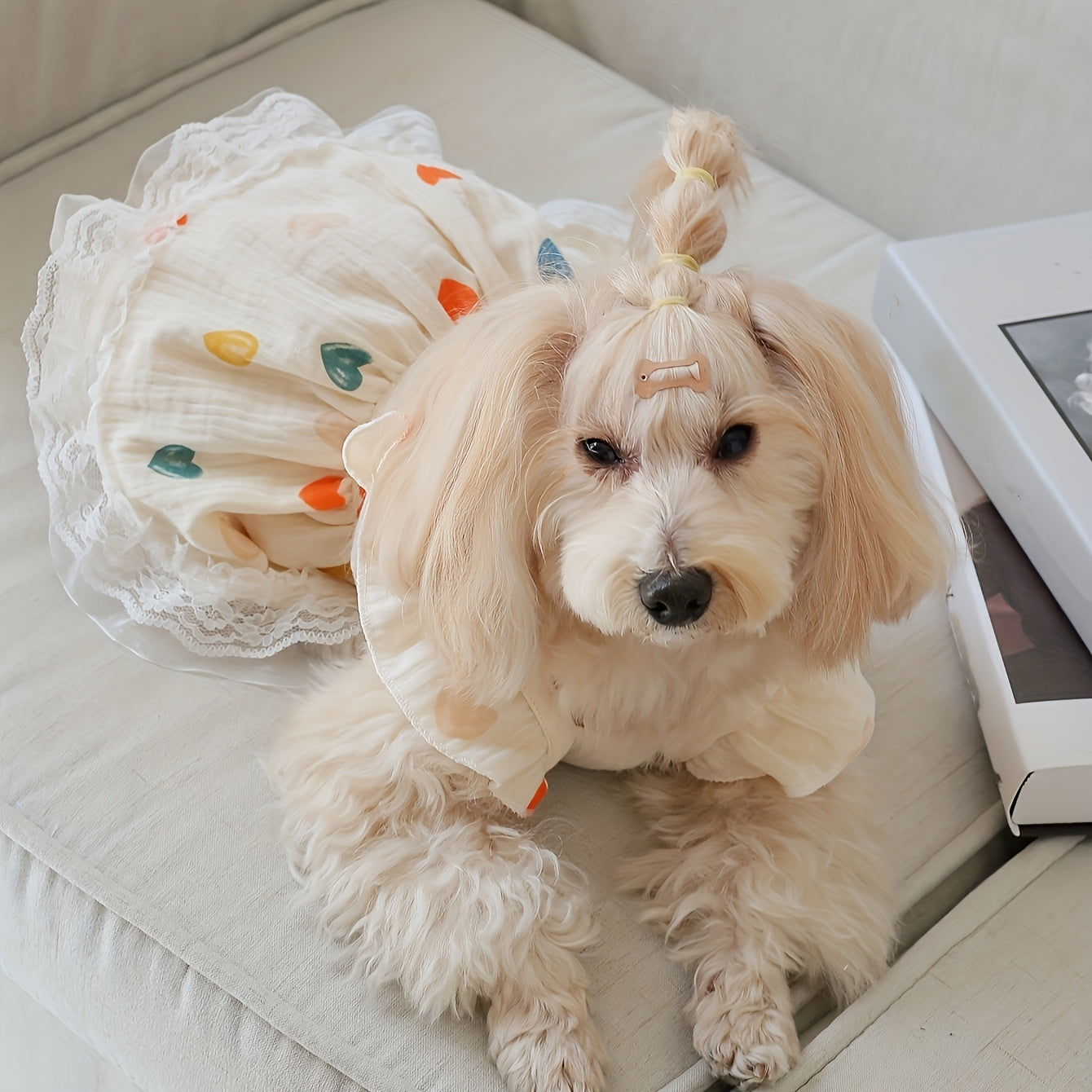 1pc Summer Pet Dress with Cute Heart Graphic and Lace Trim for Dogs and Cats - Keep Your Furry Friend Cool and Stylish